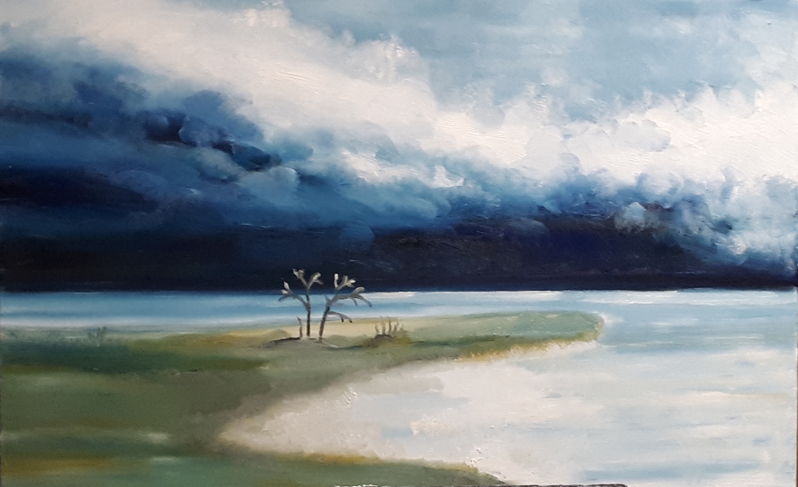 Storm 50×70 cm, olje